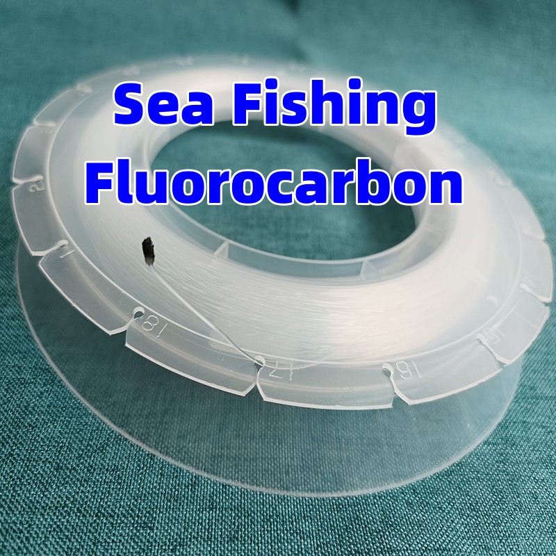 100M Fishing Fluorocarbon Big  – Fluorocarbon Line Bewertung und Preis